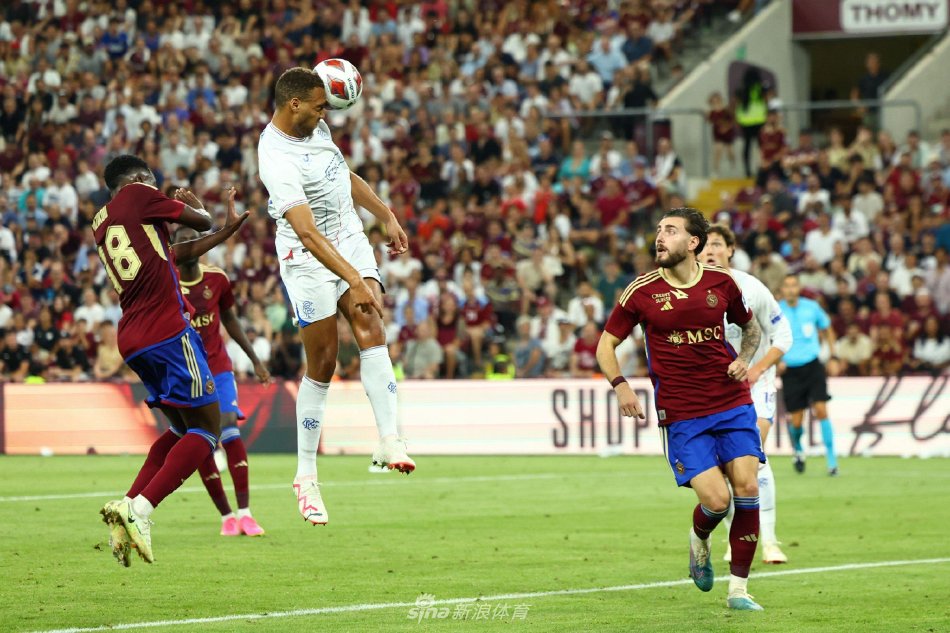 了新鲜血液 了新鲜血液